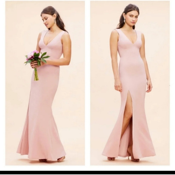 Dress the Population Dresses & Skirts - New Dress‎ The Population Sandra Dress Blush Large